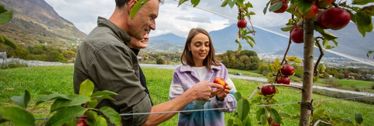 Agriculteur bio dans le verger familial de La Ferme du Coteau à Tournon Savoie