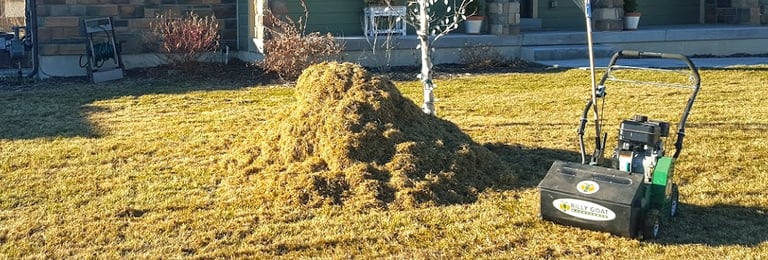 Thatch removal