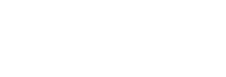 alt="imagen logo footer"