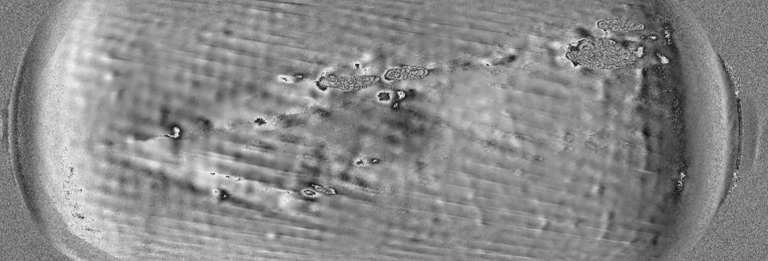 Results of laser shearography testing of a cylinder