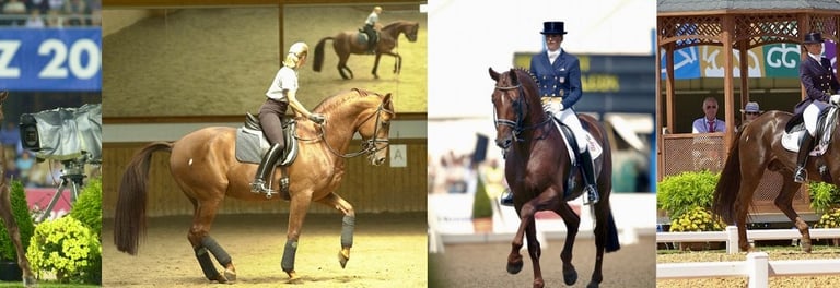 A collage of Olympian Lisa Wilcox riding Relevant 