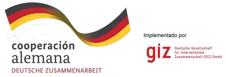 Deutsche Zusammenarbeit. GIZ Logo