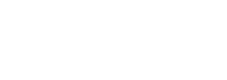 NOM STPS NYCE 113-2009