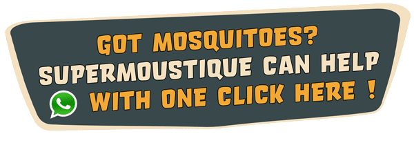 Clickable contact button