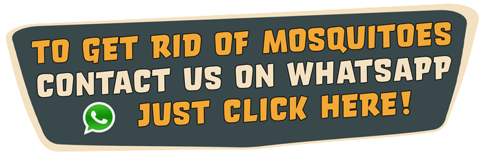 WhatsApp contact banner for tiger mosquito capture