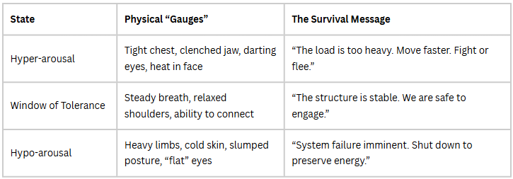 A clinical table mapping the Window of Tolerance for structural stability in mental health.