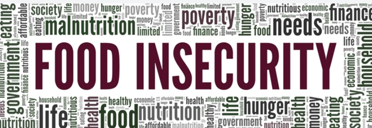 Food insecurity