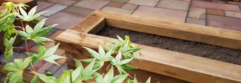 Colourful Sandstone Paving & Wooden Planters