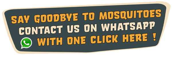 whatsapp contact banner