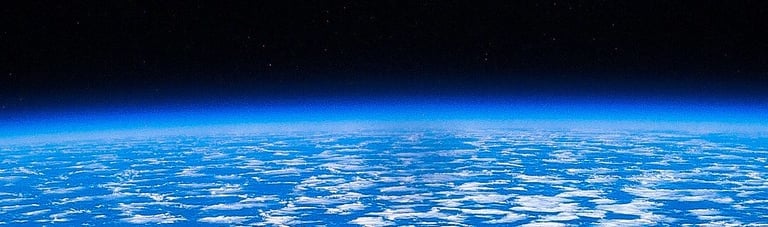 Terrapsychology banner.