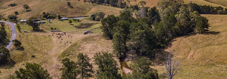 Dragonflybrogo House Creek View