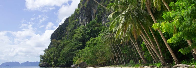 Pasandigan Beach El Nido Island Hopping Private Tour