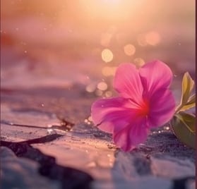 Bloem die uit asfalt groeit