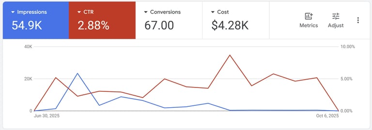 Google Ads performance snapshot from the campaign period