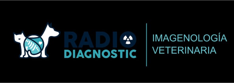 a dog and a cat on a black background