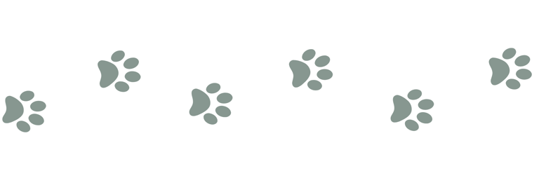 Julia's Pet Pals website element with dark green paw marks