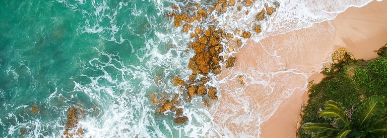Plage avec la mer et cocotier
