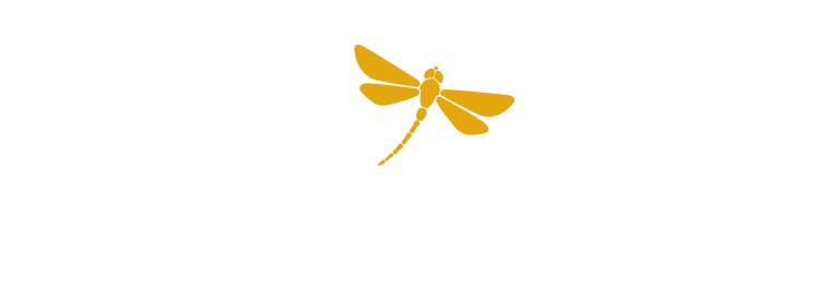 Focus Stress - Transformation et libération du stress femmes actives à Boulogne Paris