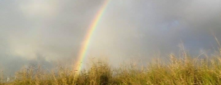 Rainbow of Hope