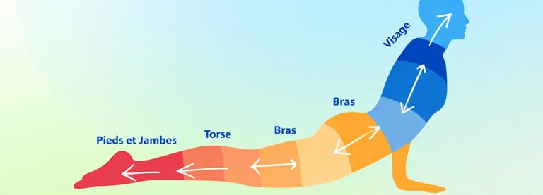 illustration mouvements de la respiration