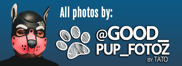 Tato in a pup mask with photo credits: @GOOD_PUP_FOTOZ