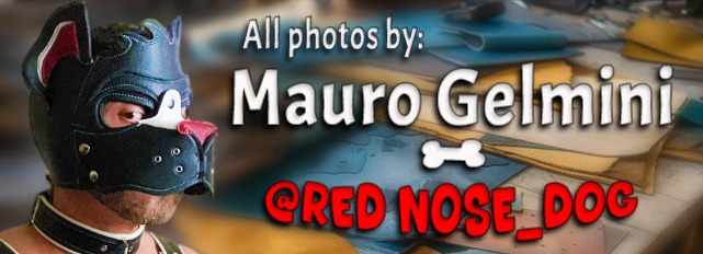 Man in pup mask with photo credits