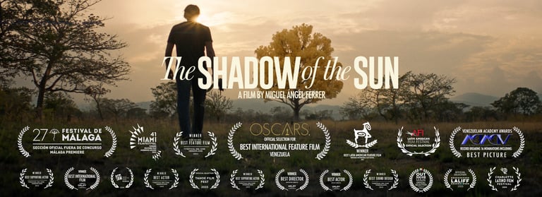 Movie poster for The Shadow of the Sun showing a man standing in a field at sunset with film festival awards.