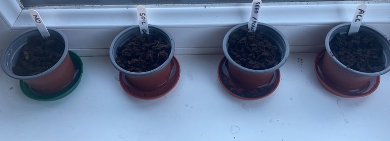 Four Plant Pots on a Windowsill
