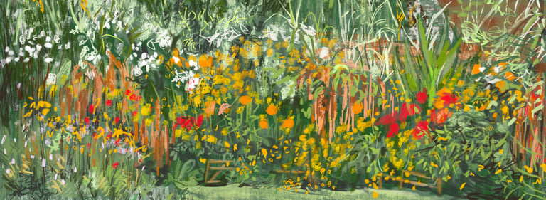 Solar bed Autumn 2025 Great Dixter - digital drawing