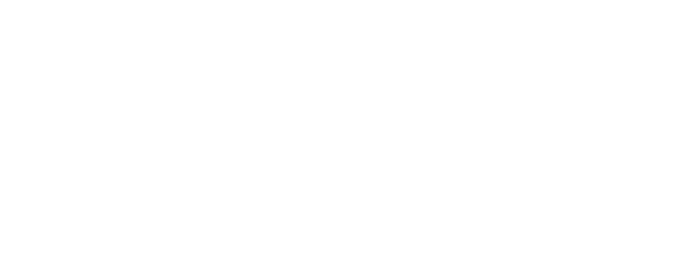 Visi Perusahaan | Lemone Indonesia