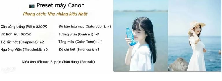 Phong cách Nhẹ nhàng tone lạnh