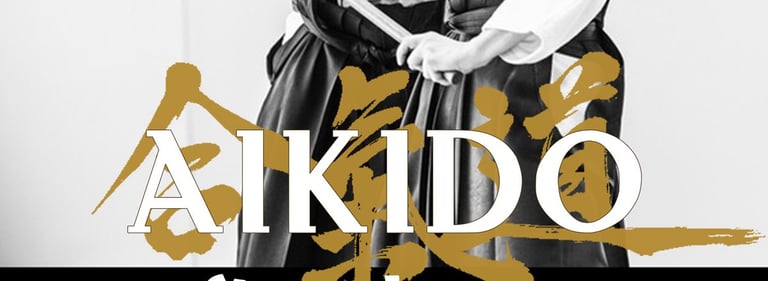 stage jeune aïkido valerie le chatton 