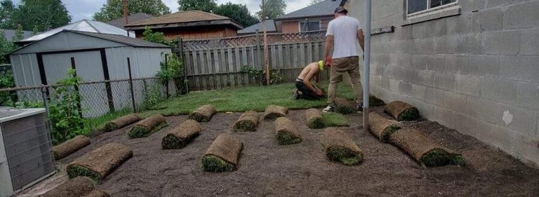 sodding job in progress