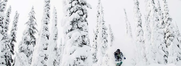 a person on a skis in the snow forest