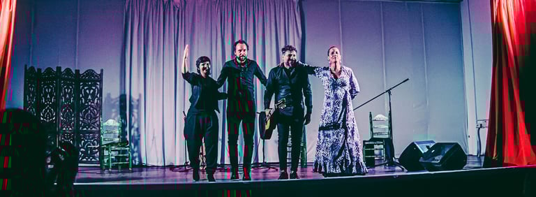Reportage photo et vidéo d’un concert à Pau.