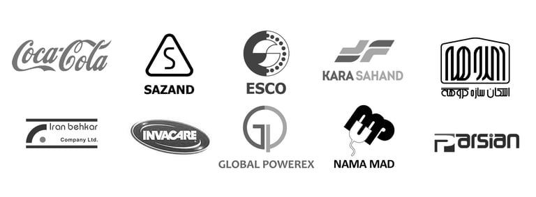 Portfolio of select companies Diana Rain collaborated with during her creative career