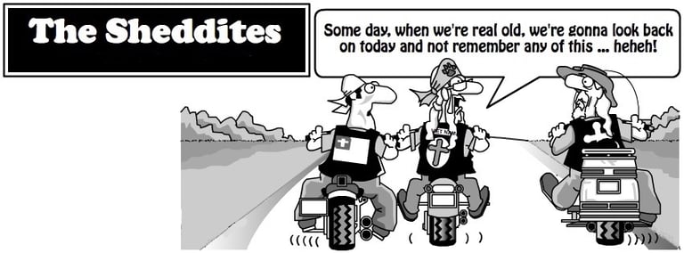 Two cartoon bikers riding together and reminiscing.