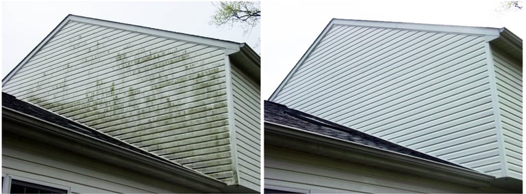 House soft wash before and after in Trinity, FL