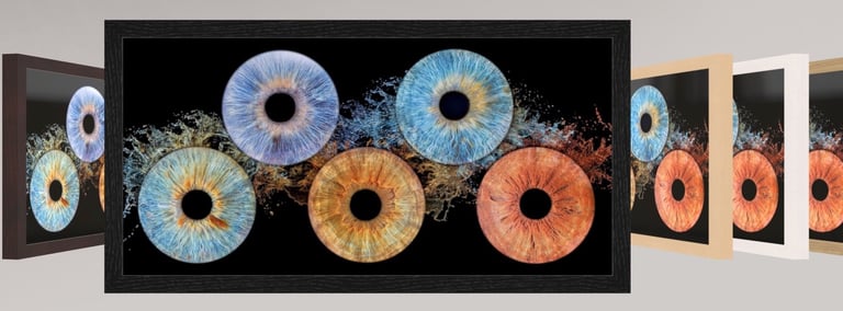 Tableau de cinq iris avec un éclat d'eau et un cadre américain