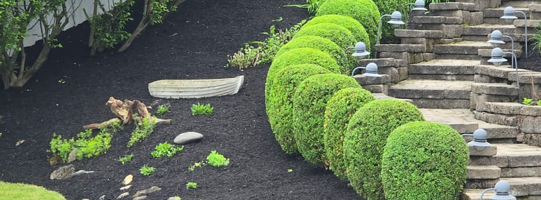 Seasonal landscaping cleanup, including shrub pruning and garden bed maintenance.