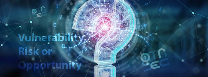 Enriquecimento de Vulnerabilidades