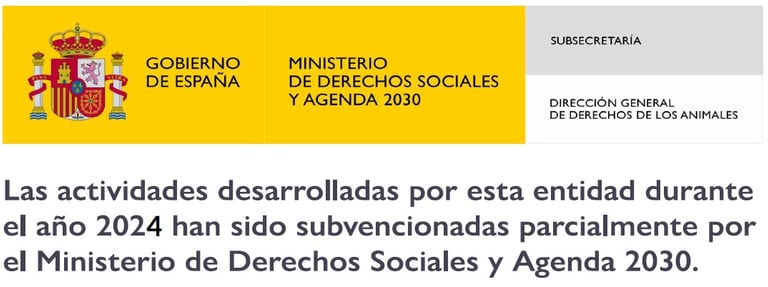 banner subvención ministerio DSA2030