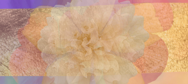 the gold thats found when we journey into our wound archetypes