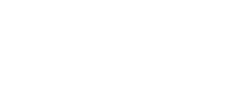 Geek Plus technologies - about us