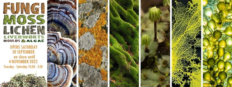 A poster for the Fungi, Moss etc exhibition showing many types of fungi and bryophyte.