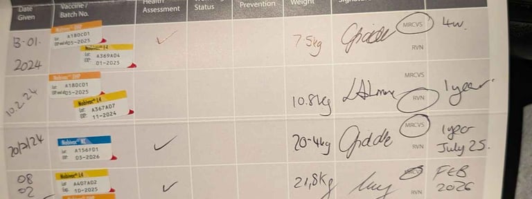 Revisiones veterinarias regulares a todas las mascotas.