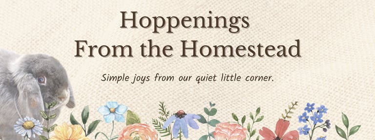 Hot Cross Buns' Hoppenings From the Homestead Banner with Boggle peeking through wildflowers