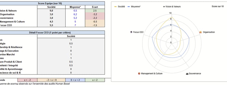 Extrait d’un audit Human Boost, Synthèse visuelle.