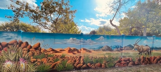 un long graffiti avec un oryx et le désert namibien