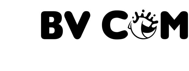 logo bvcom